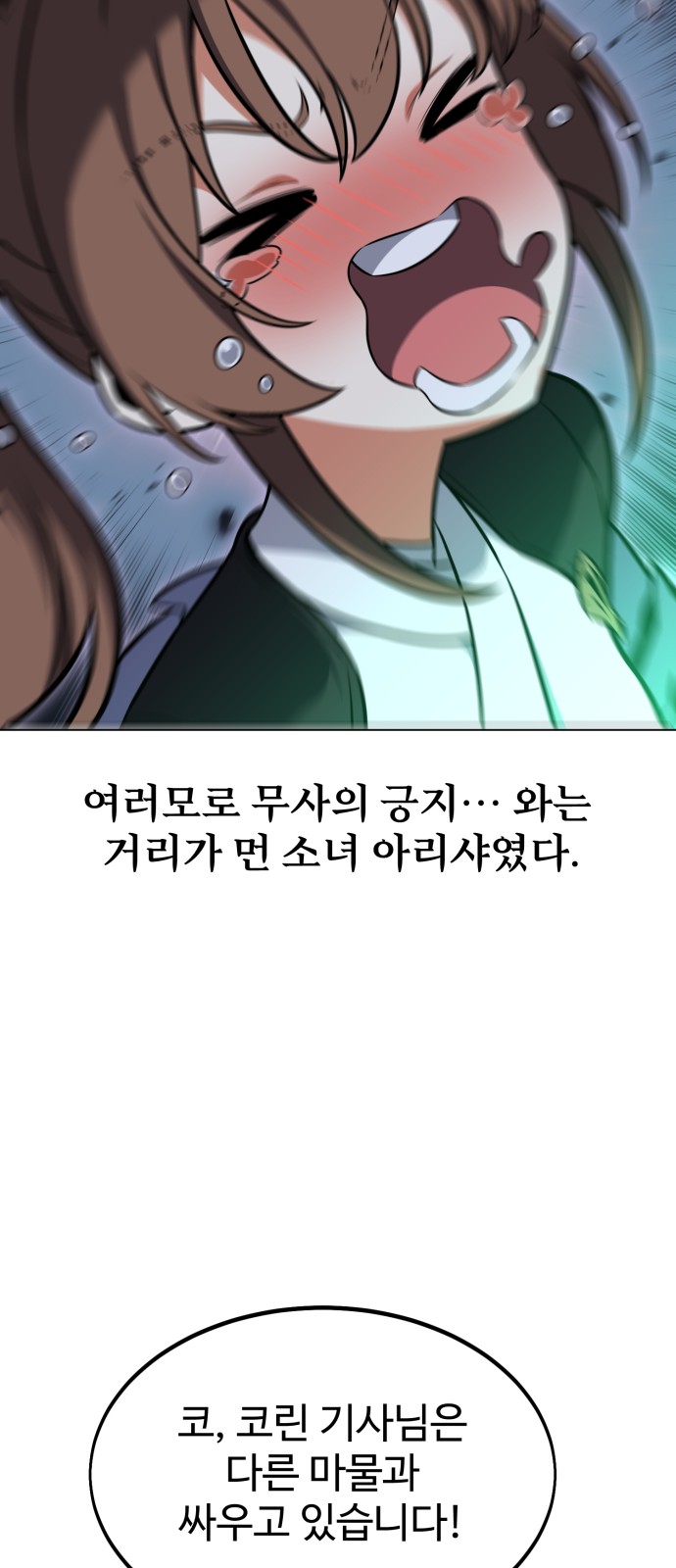 97 페이지
