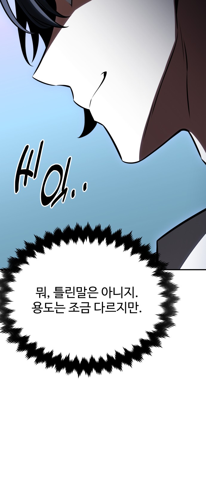 114 페이지