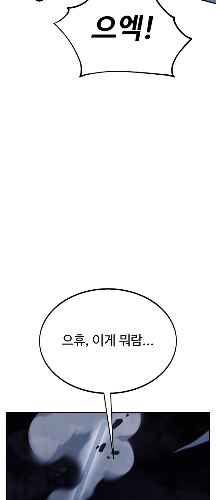 113 페이지
