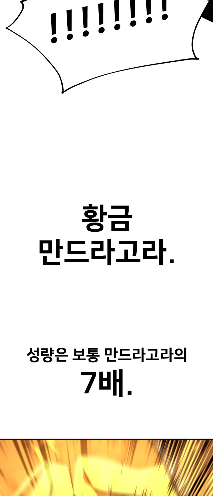 155 페이지
