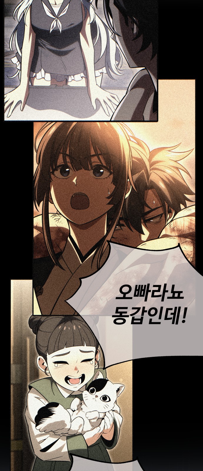 5 페이지