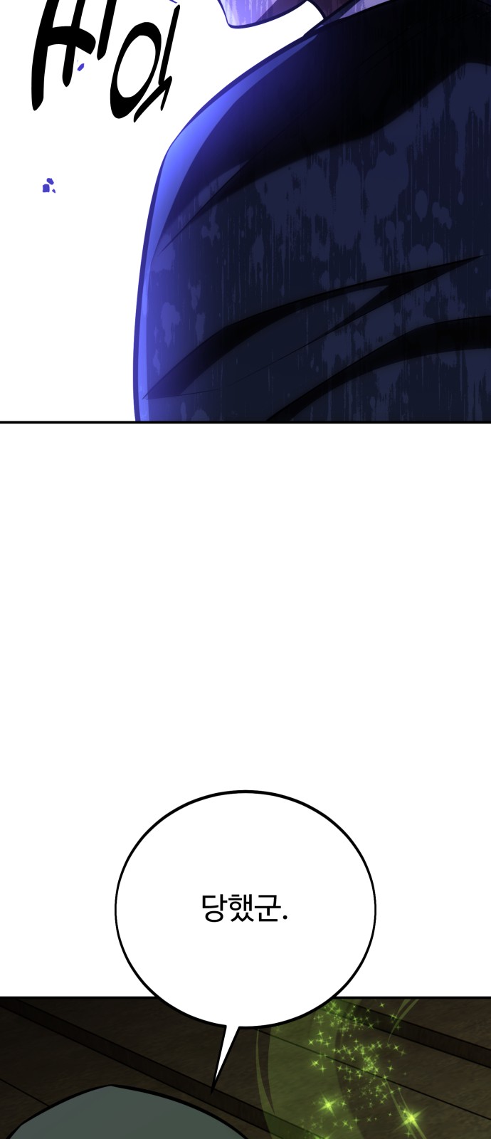 117 페이지