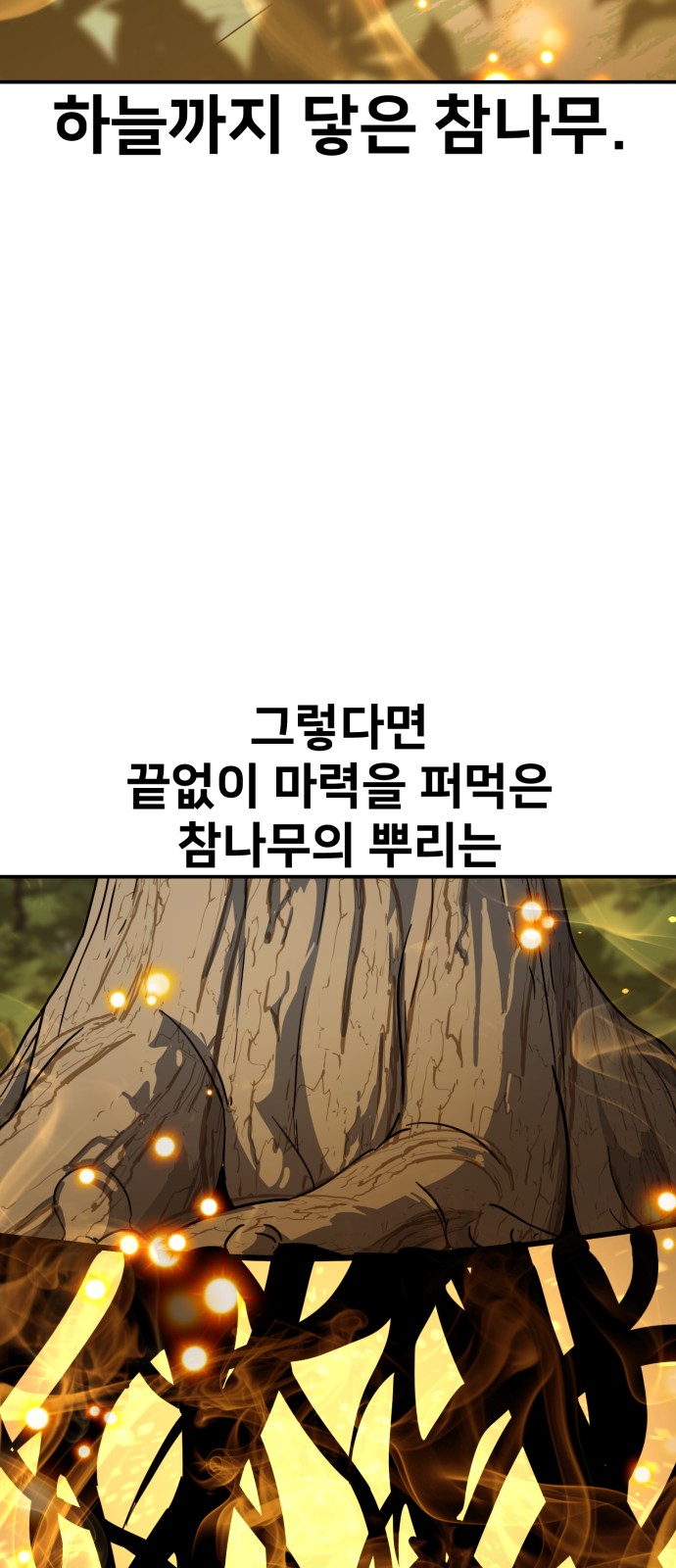 145 페이지