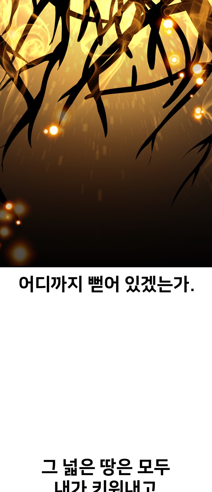 146 페이지