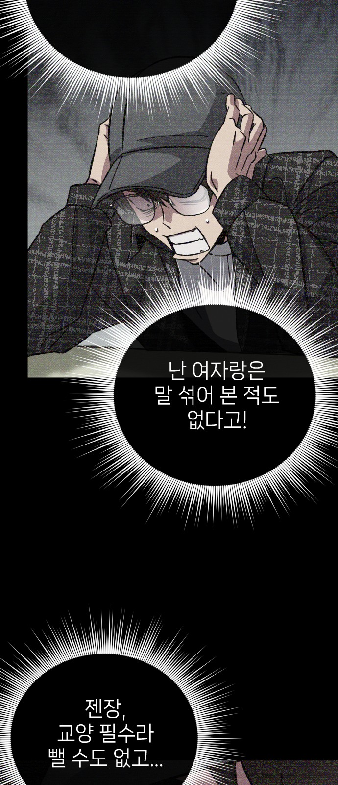 33 페이지