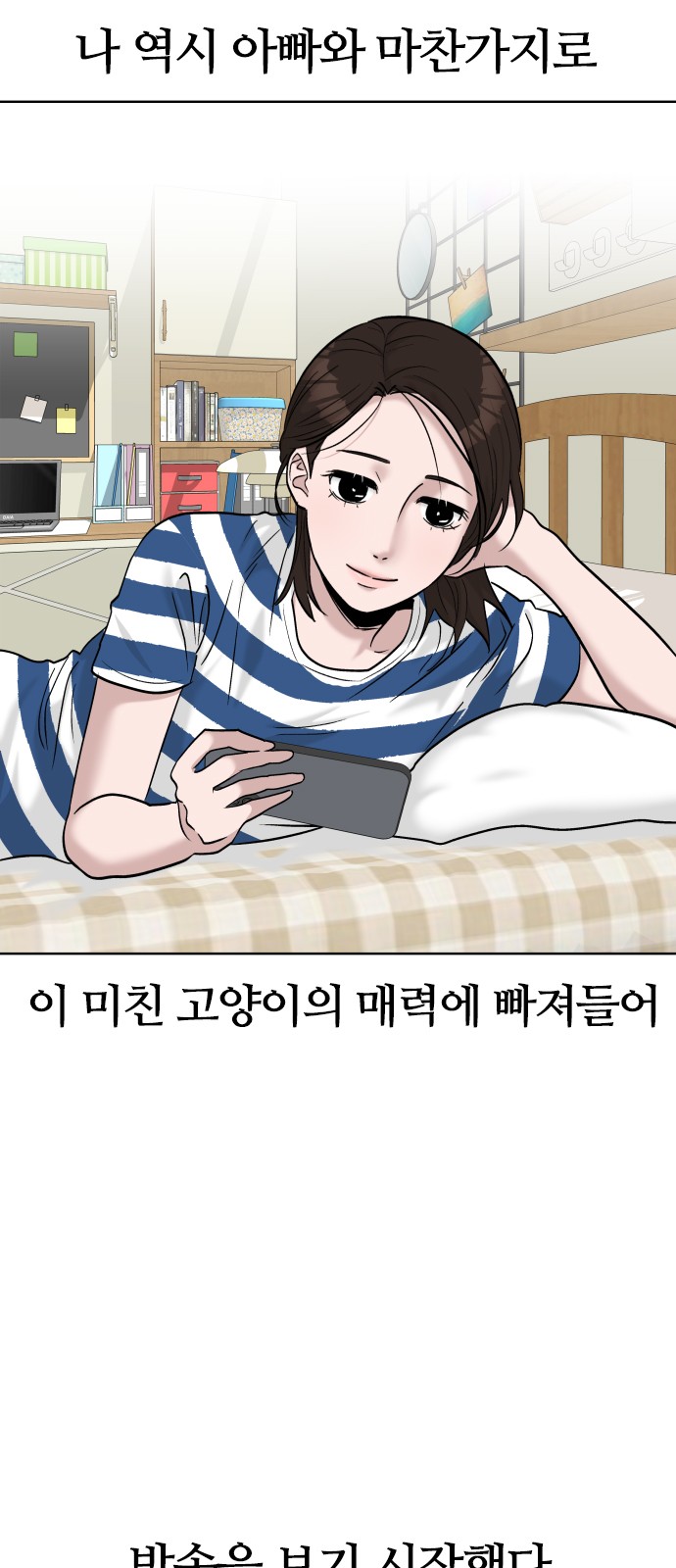 53 페이지