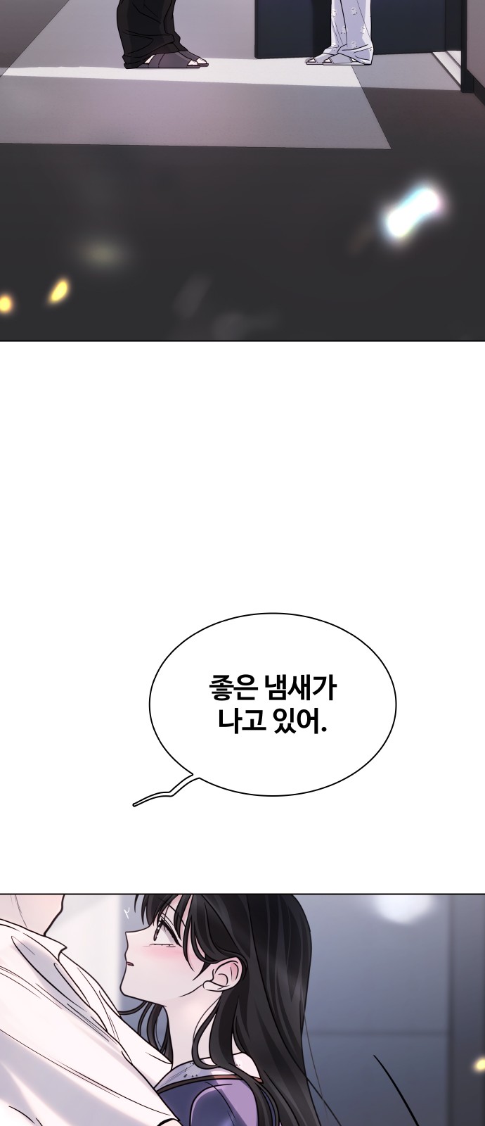 66 페이지