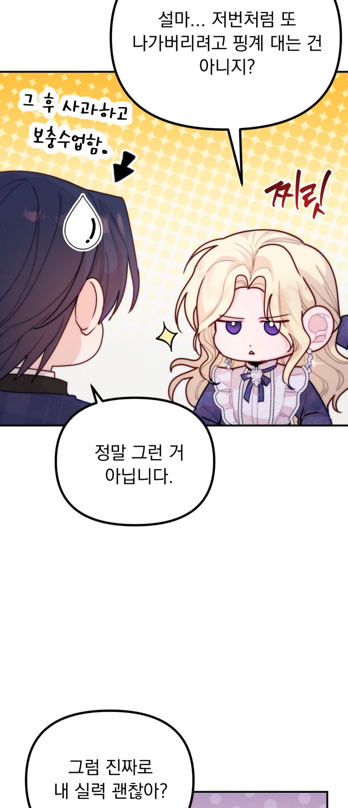 33 페이지