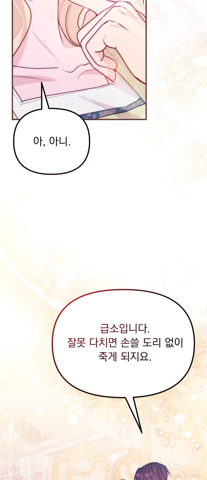 46 페이지