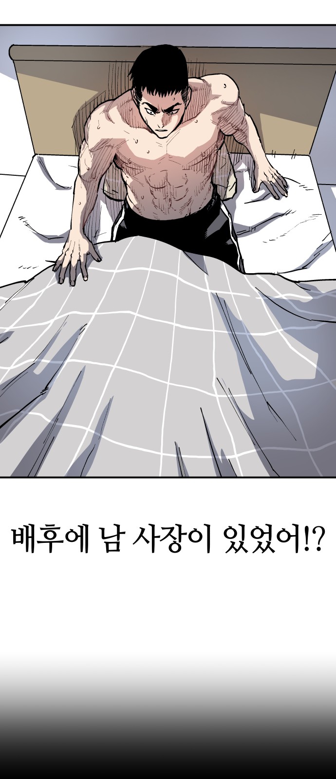 46 페이지