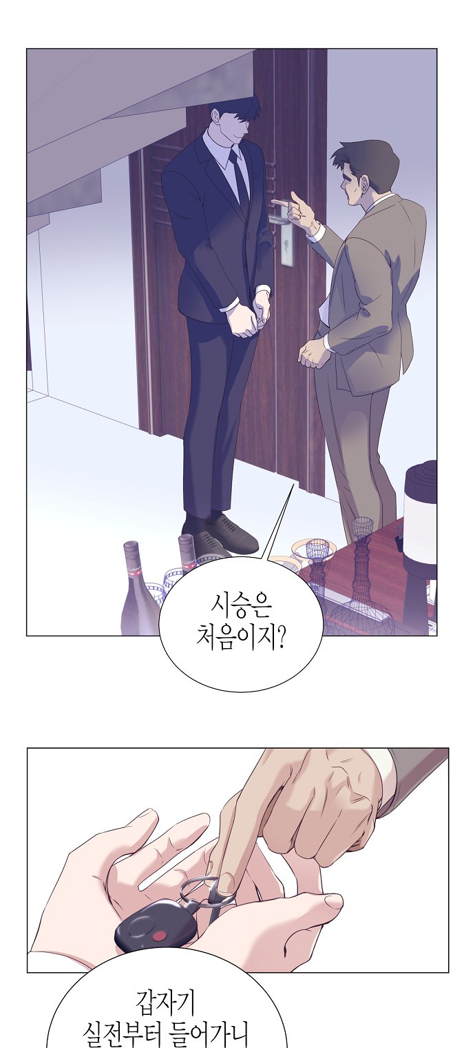40 페이지