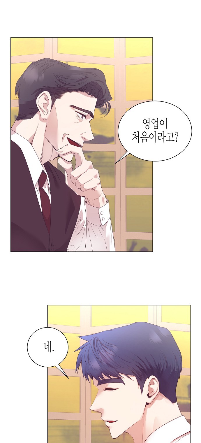 48 페이지