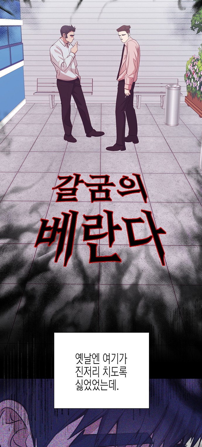 46 페이지