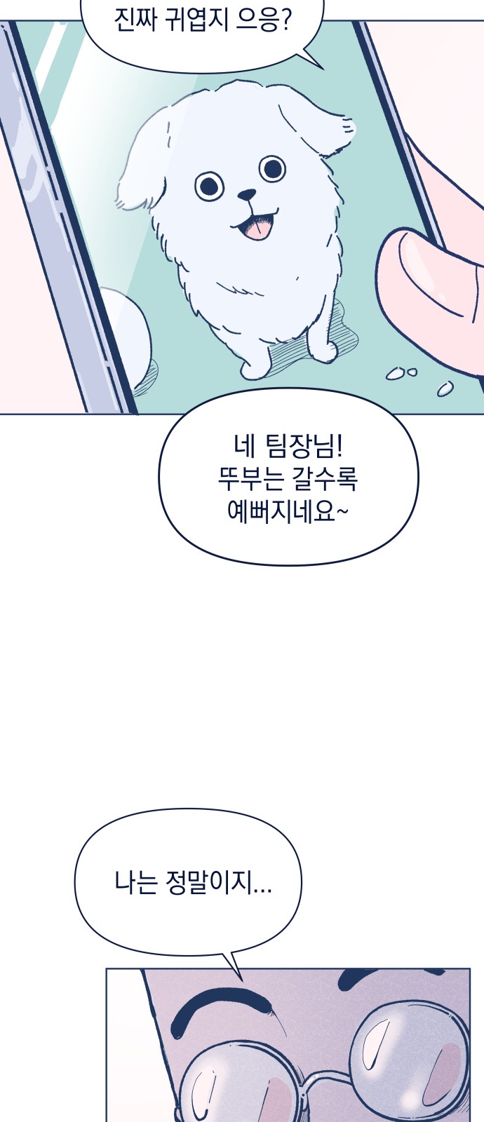 15 페이지
