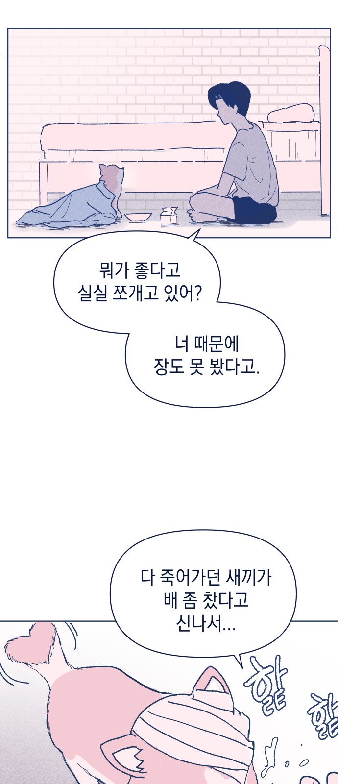 75 페이지