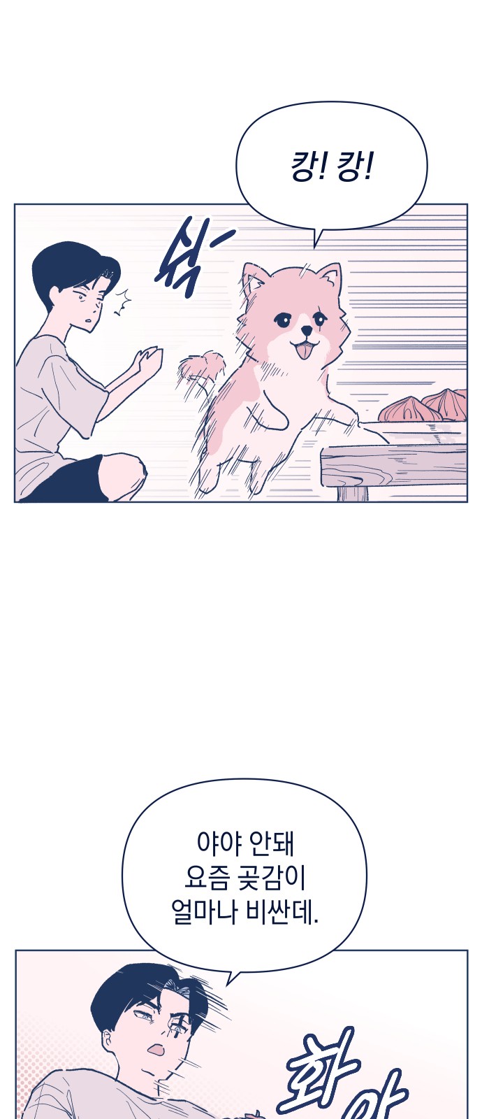 13 페이지