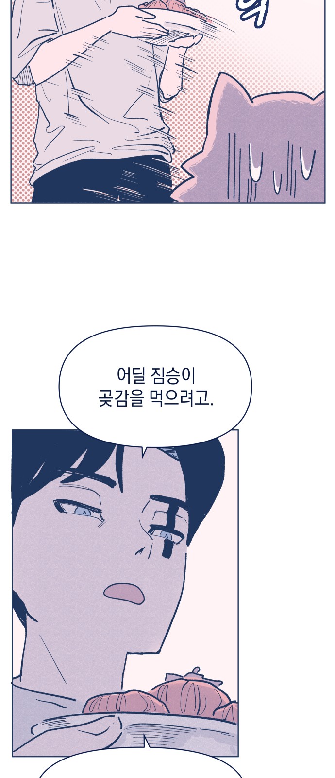 14 페이지