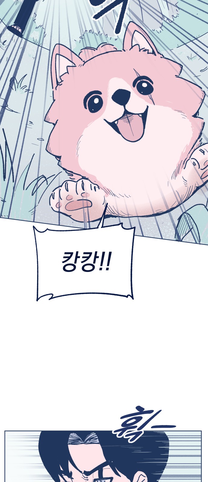 47 페이지