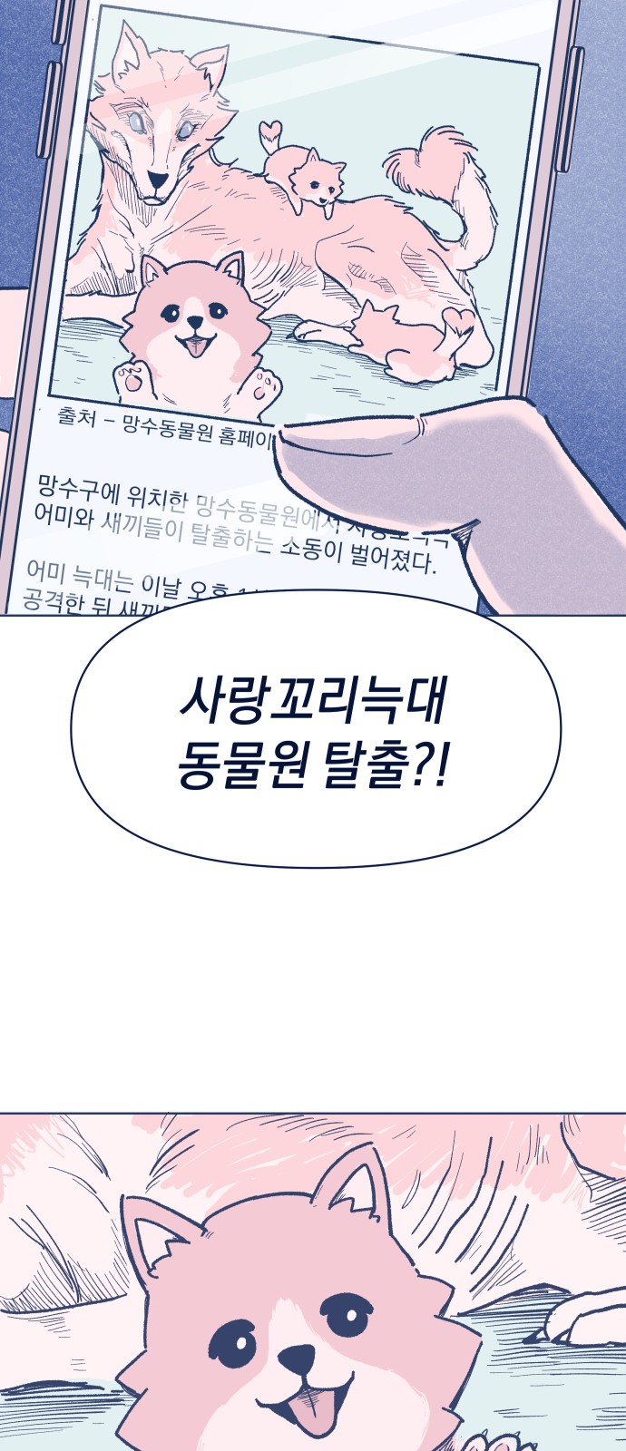 65 페이지
