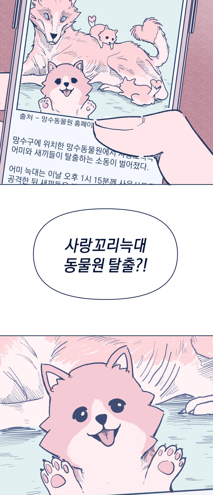 3 페이지