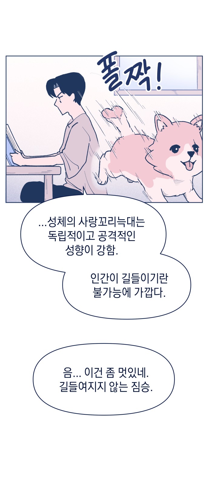 39 페이지