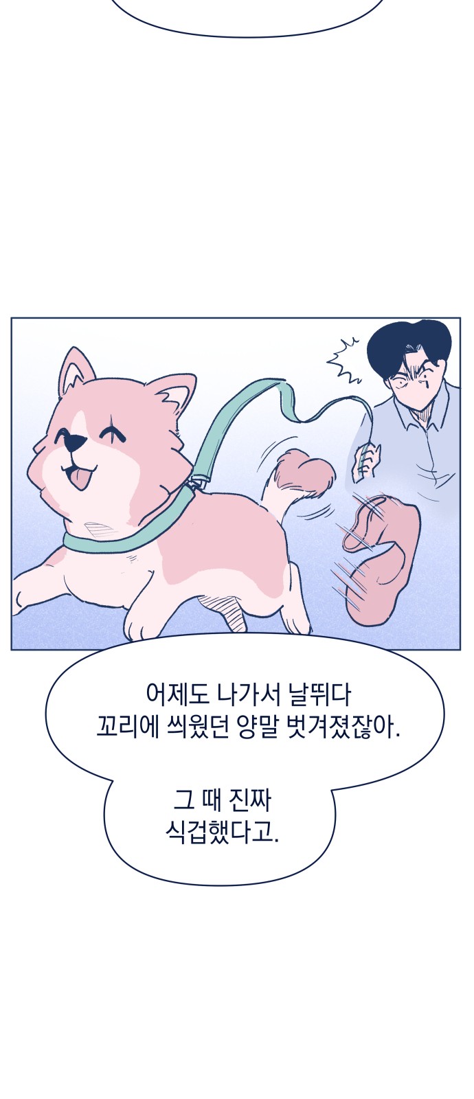 43 페이지