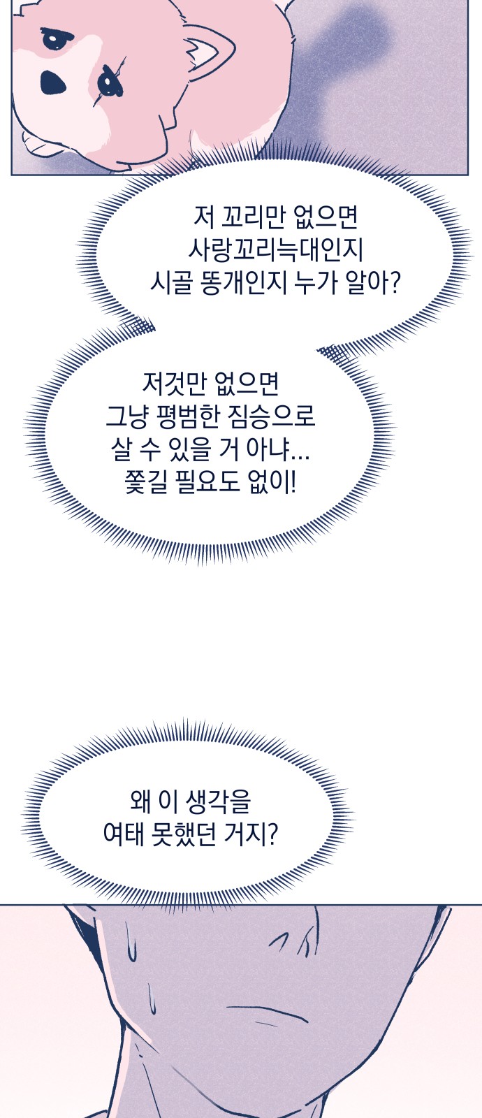 55 페이지