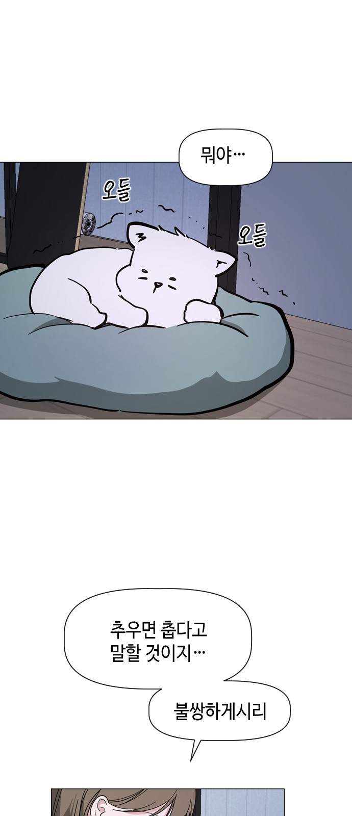 43 페이지