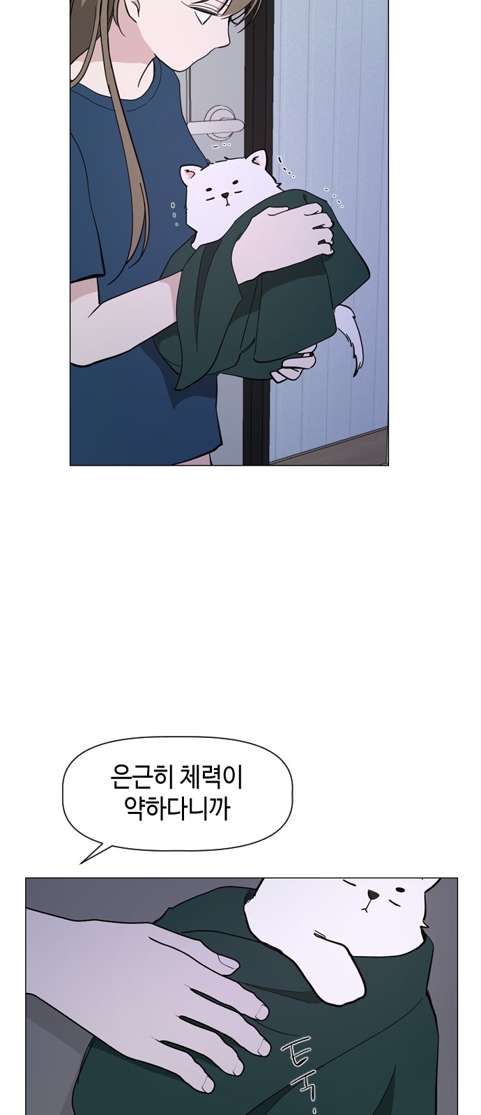 44 페이지