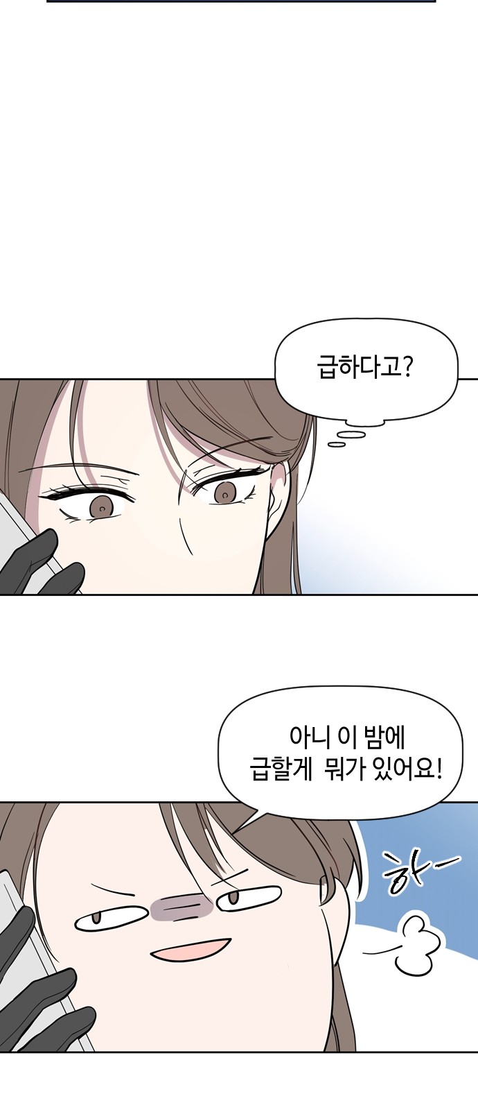 51 페이지
