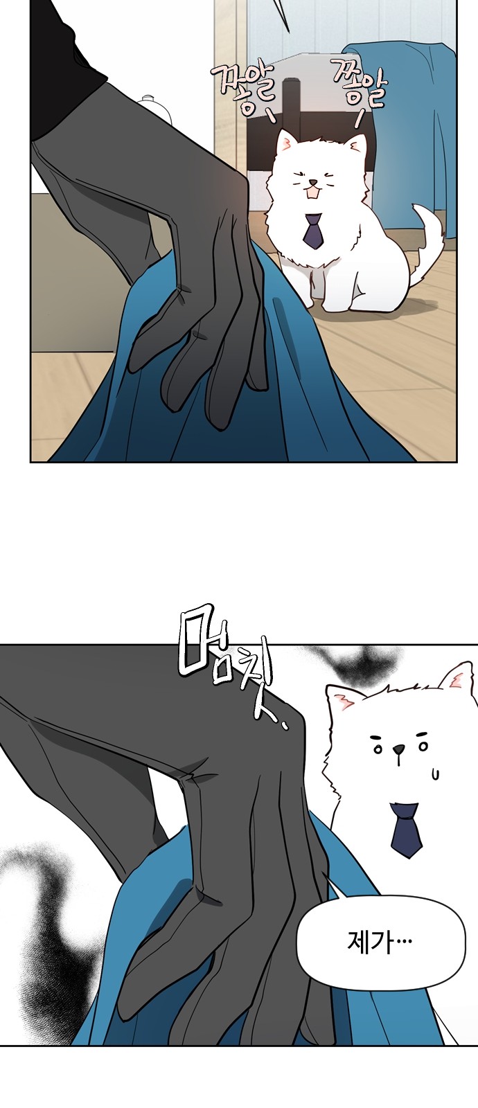 63 페이지