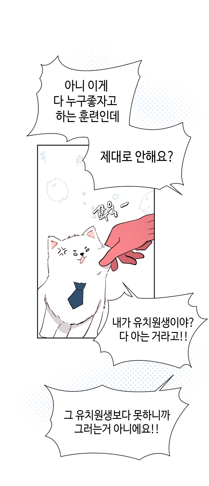 11 페이지