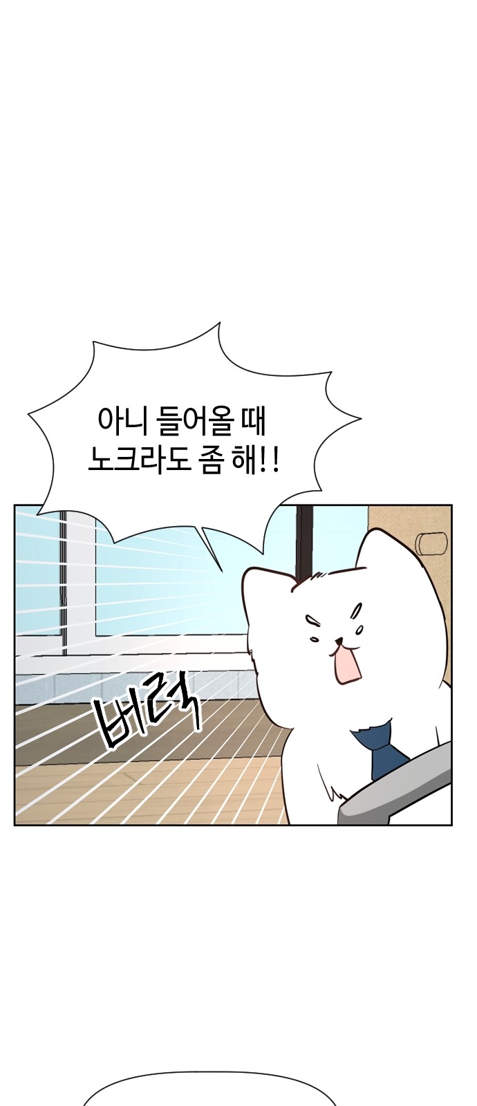 41 페이지