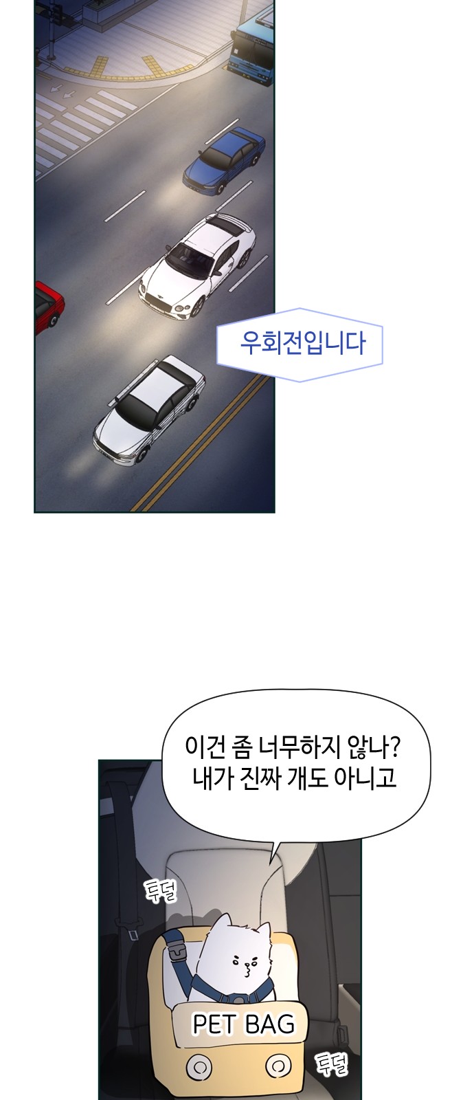 21 페이지