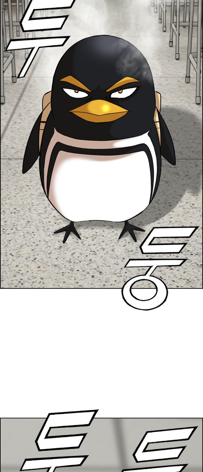 50 페이지