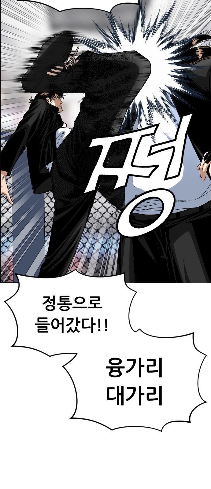 23 페이지
