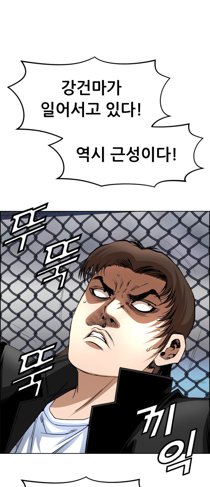 43 페이지