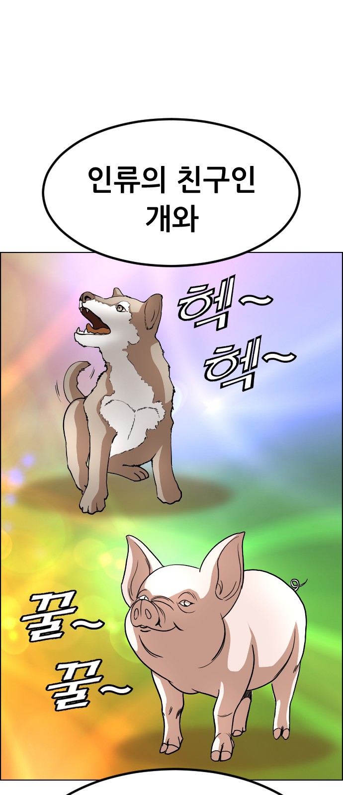 14 페이지