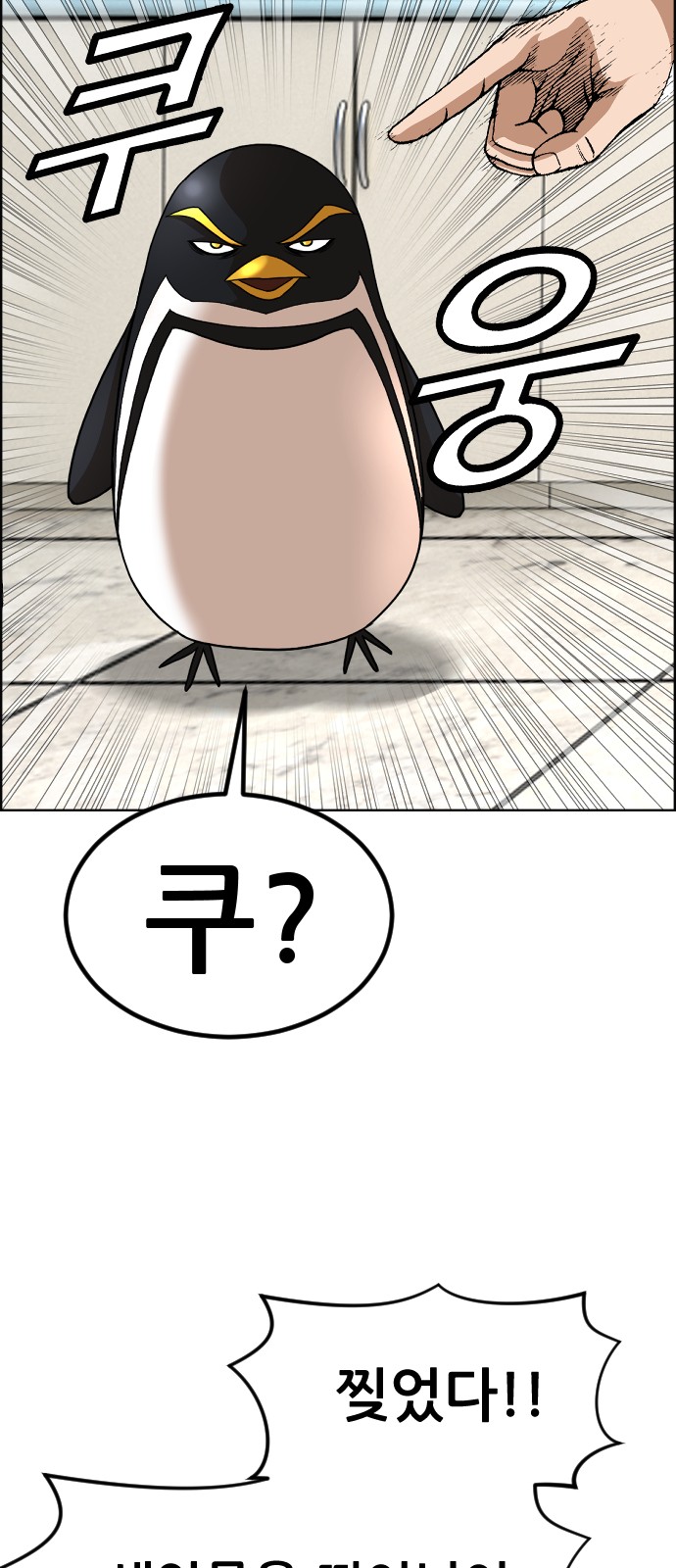 48 페이지