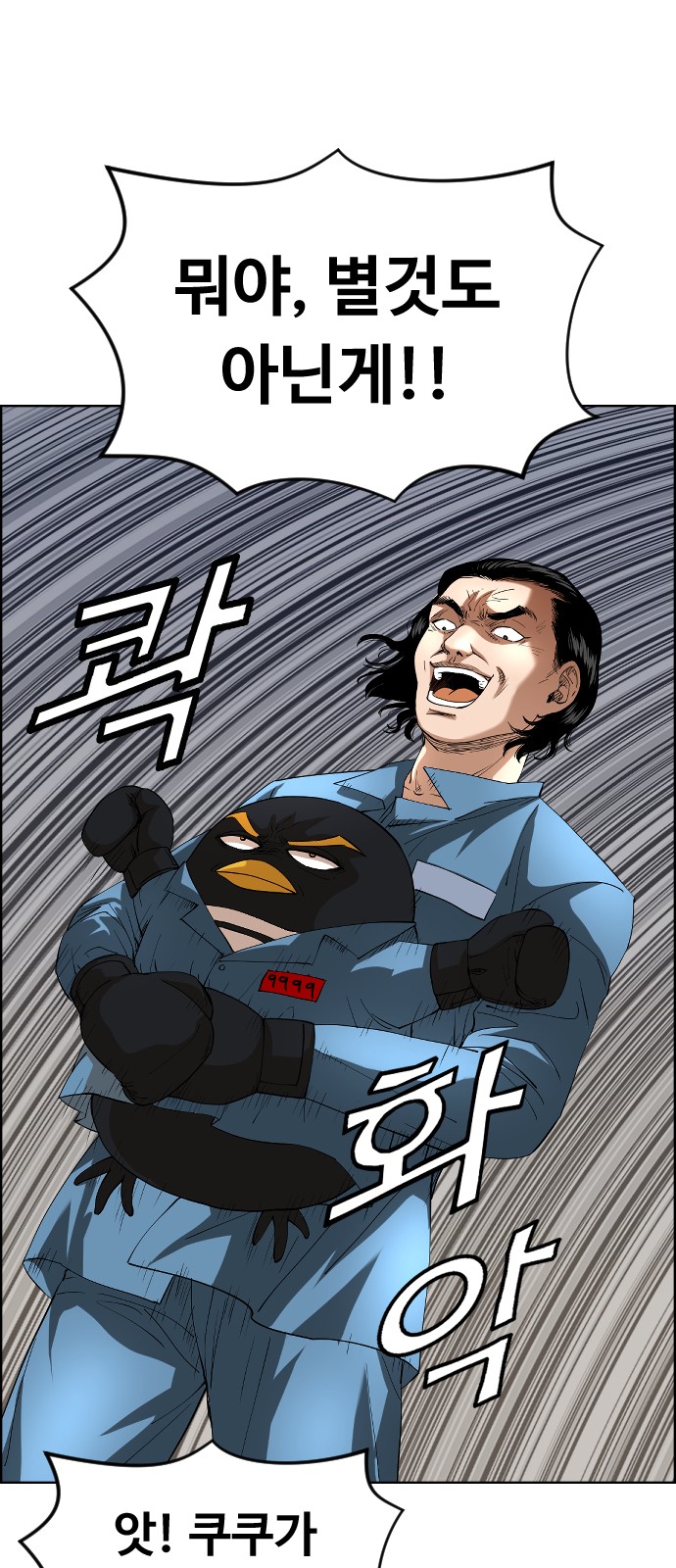 15 페이지
