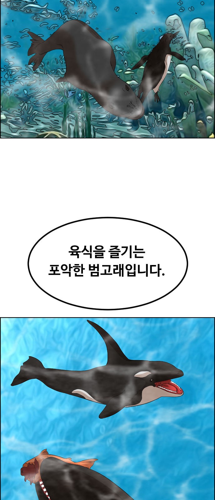 53 페이지