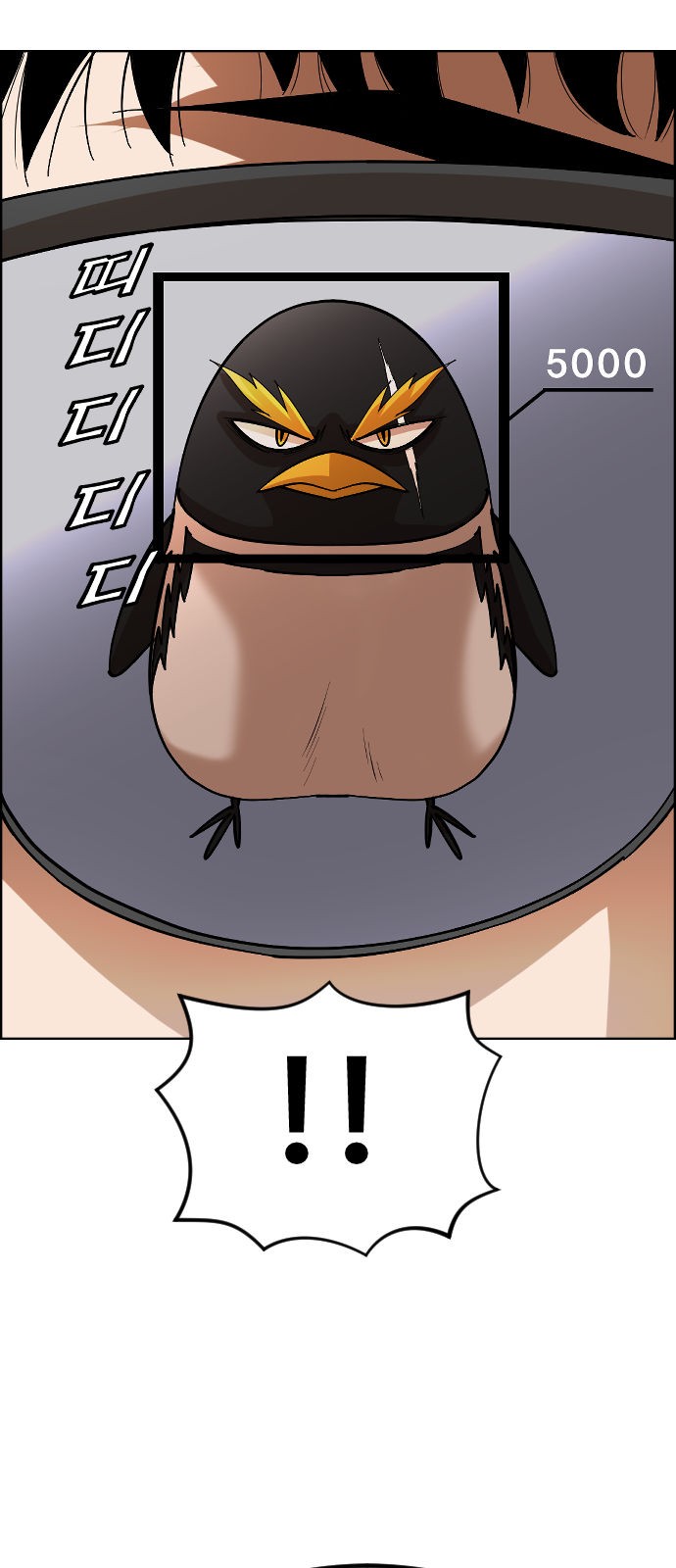 40 페이지