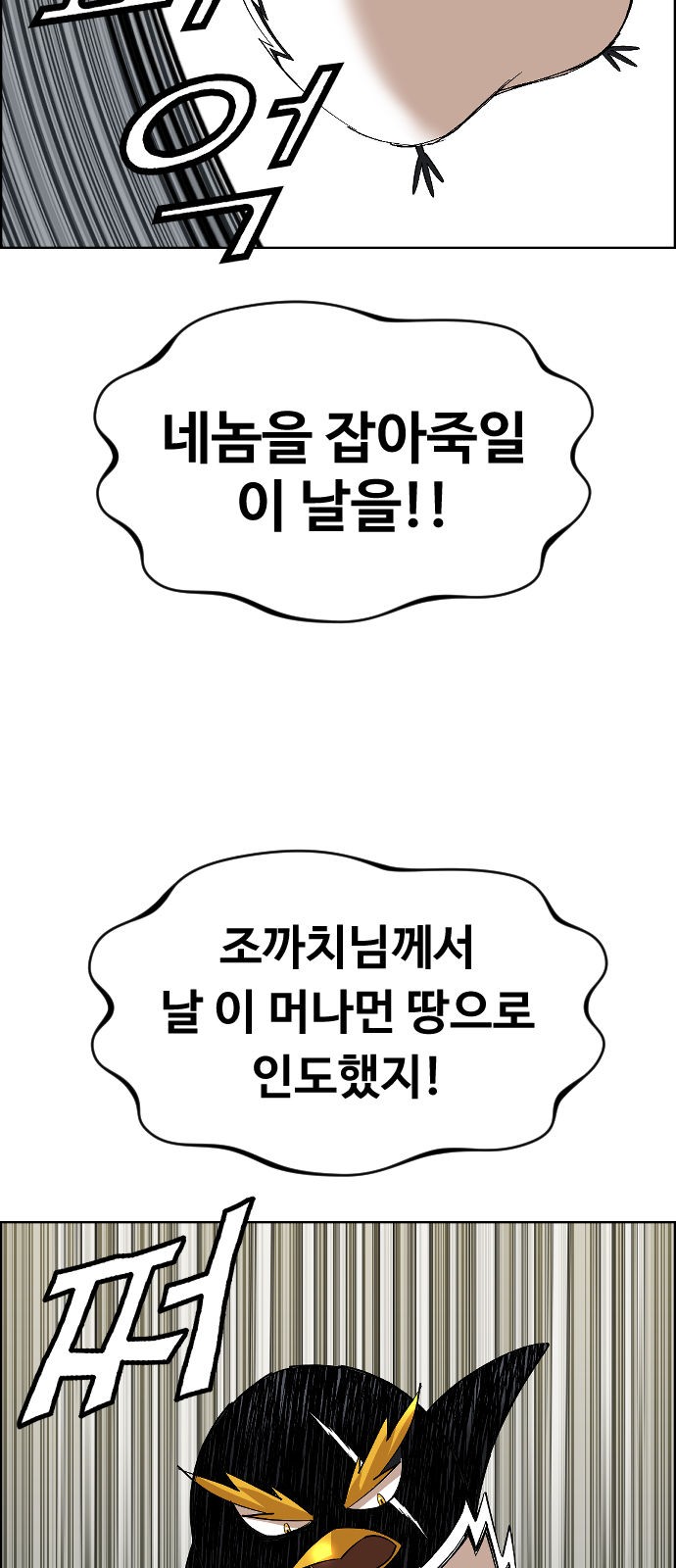 43 페이지