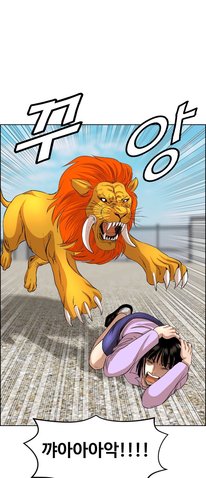 34 페이지