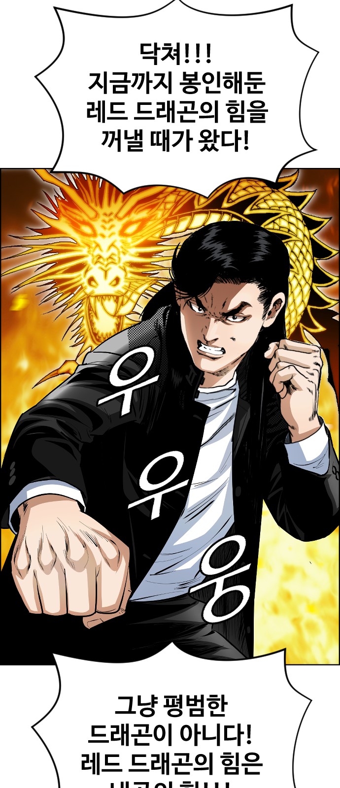 51 페이지