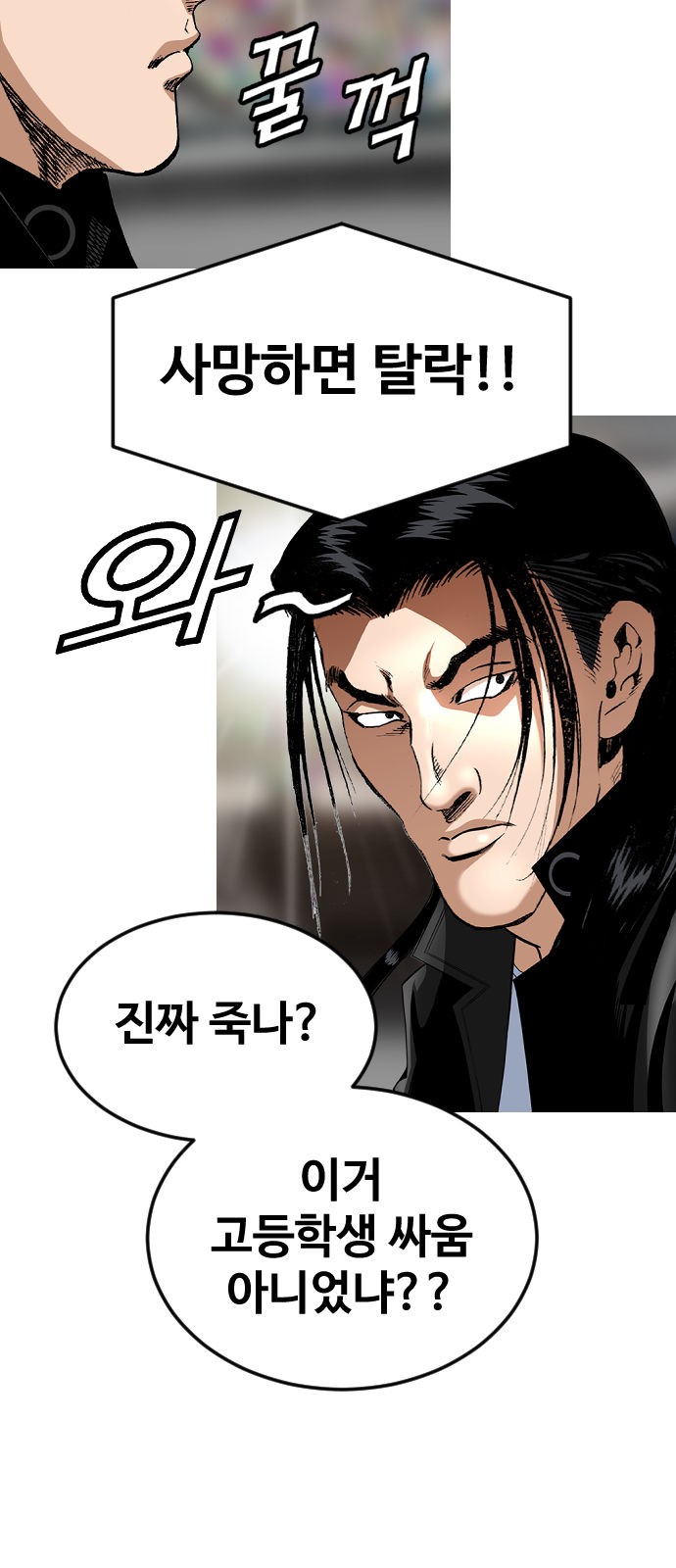 46 페이지