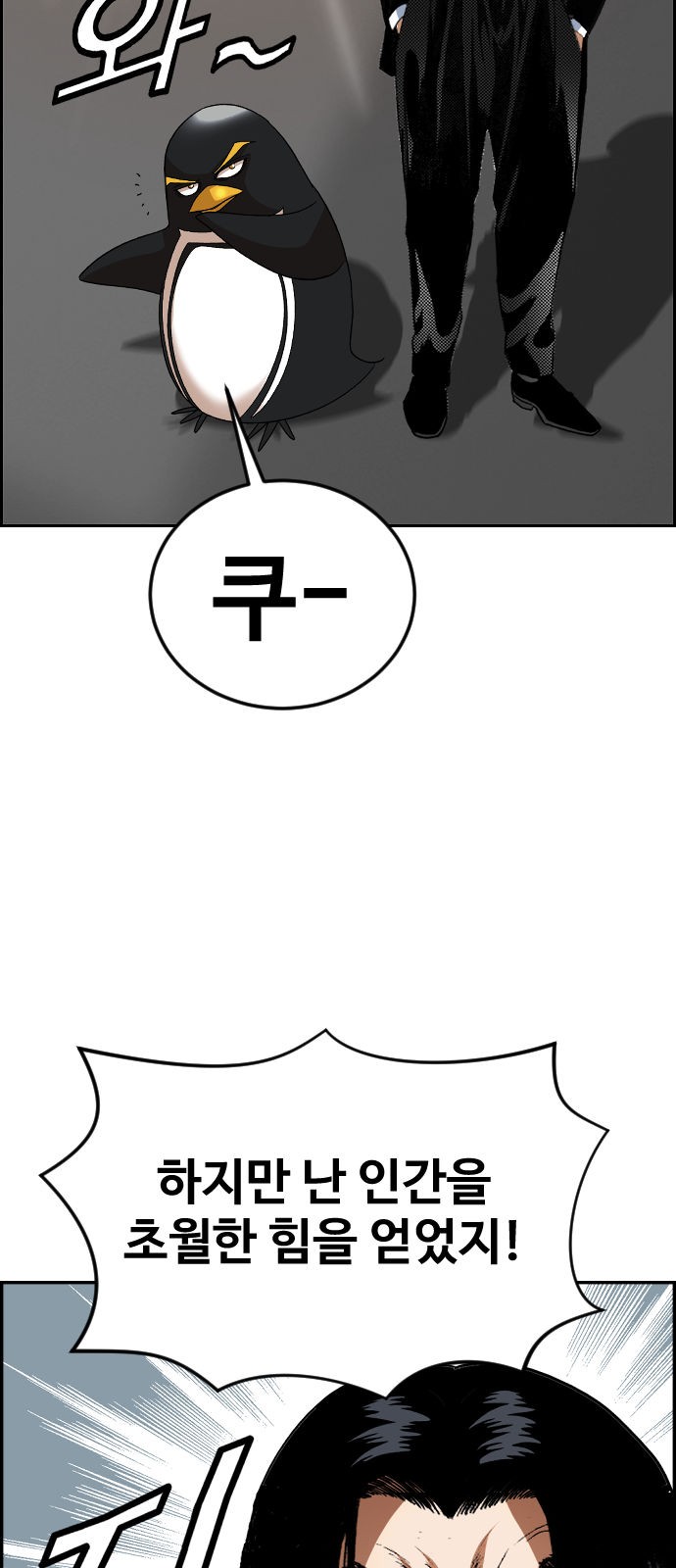 66 페이지