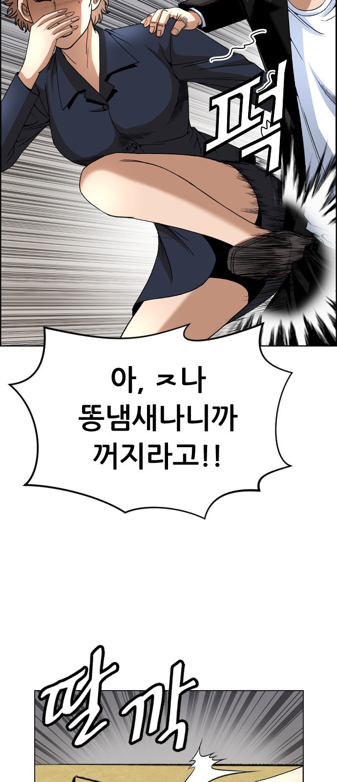 48 페이지