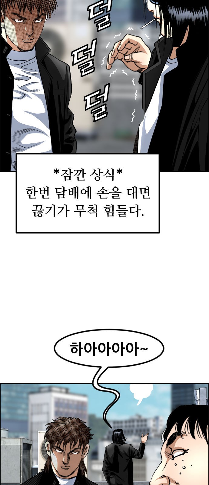 50 페이지