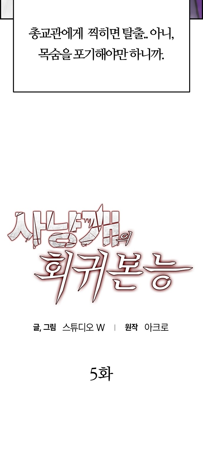 5 페이지